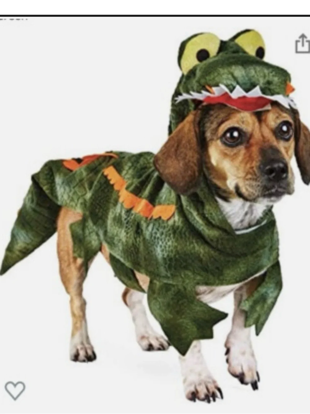 Dog alligator costume - medium - Halloween, pet parade